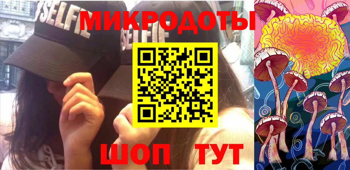 Галлюциногенные грибы Psilocybine cubensis Чебаркуль