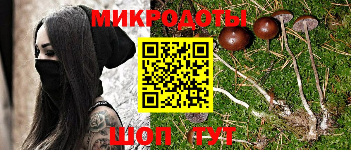 Чебаркуль  Псилоцибиновые грибы GOLDEN TEACHER  Вход с VPN 